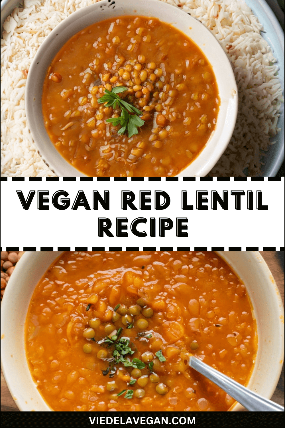 Vegan Red Lentil Recipe Delight A Flavorful Quick Fix Red Lentil Recipe Vegan10 